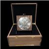 Image 3 : The Impressive 2025 Ten Kilo Big Silver Maple
