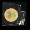 Image 2 : Heinz Food Service Lucite Encased 1991 Loon Dollar
