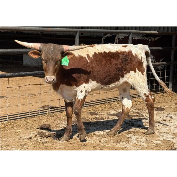 SCRATCH: GLR SMOKIN' ROYAL GAL