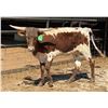 Image 1 : SCRATCH: GLR SMOKIN' ROYAL GAL