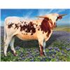 Image 1 : SLL UPTOWN COWGIRL