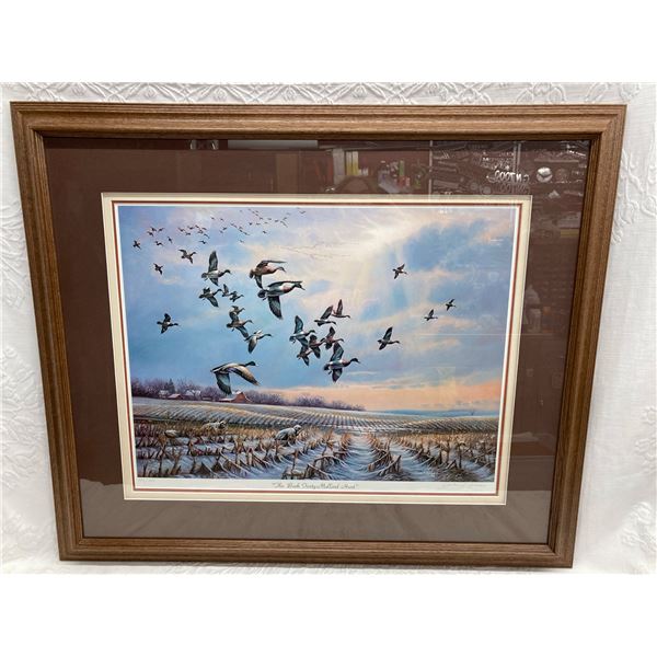 FRAMED WILDLIFE ART PRINT - SIGNED AND NUMBERED - JOHN C. GREEN