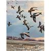 Image 4 : FRAMED WILDLIFE ART PRINT - SIGNED AND NUMBERED - JOHN C. GREEN