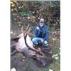 Image 2 : Washington Roosevelt Elk Hunt