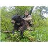 Image 4 : Wyoming Black Bear Hunt