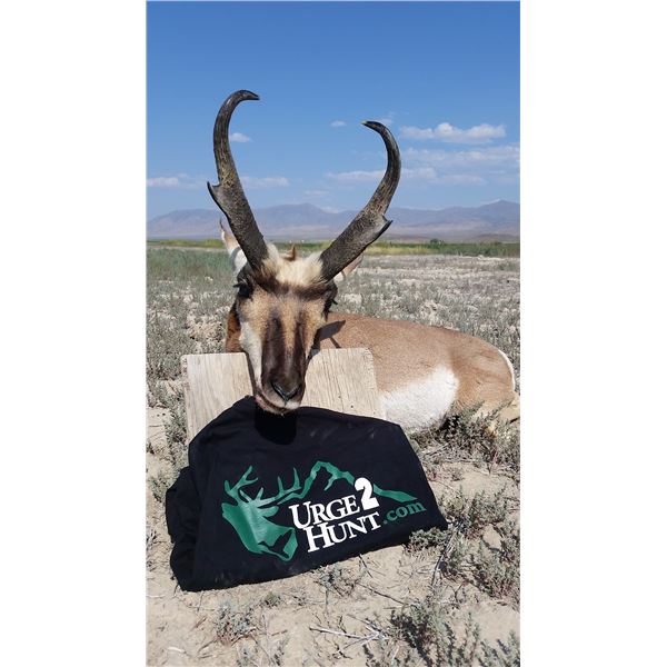 Nevada Antelope Tag