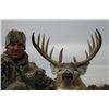 Image 2 : Kansas Trophy Whitetail Hunt