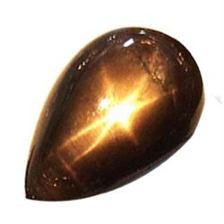 2.93ct Opaque Pear Cabochon Black Star Sapphire Natural  (GEM-19530)