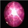 Image 1 : 4.16ct Oval Cabochon Red Star Ruby  (GEM-21398)