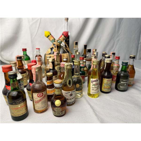 Mini Liquor Lot
