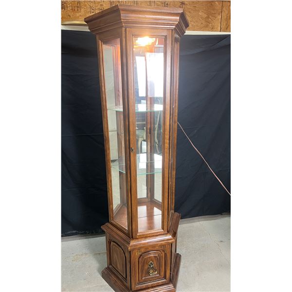 Curio Cabinet with Lighting