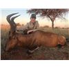 Image 4 : South Africa, 7 days / 6 nights, 2-8 Hunters, $1500 credit per hunter