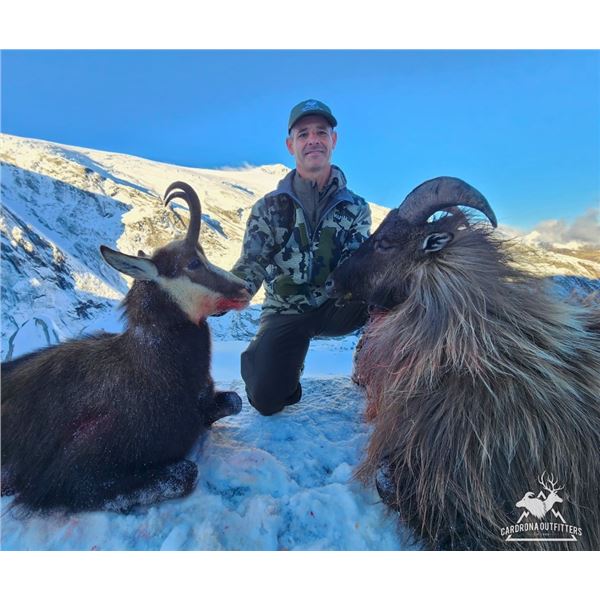 New Zealand 5 day, 1 hunter, Tahr & Chamois combo