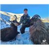 Image 1 : New Zealand 5 day, 1 hunter, Tahr & Chamois combo