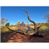 Image 4 : South Africa, 7 full days, 2 hunters, $3500 trophy fee credit per hunter