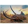 Image 6 : South Africa, 7 full days, 2 hunters, $3500 trophy fee credit per hunter