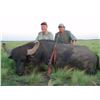 Image 3 : Argentina, 5 Day / 4 Night, 1 hunter, Water Buffalo