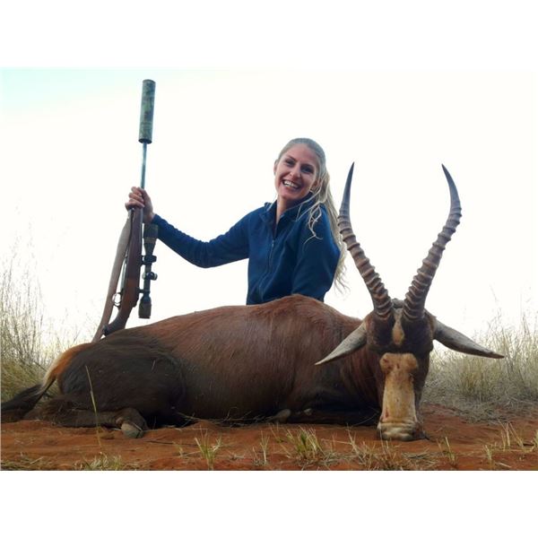 South Africa, 7 days, 2 hunters x 1 PH, and 2 observers. 1 Blue Wildebeest and 1 Impala and 1 Blesbu