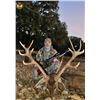 Image 1 : Spain, 3 Day, 1 hunter, Iberian Red Deer hunt