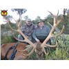 Image 2 : Spain, 3 Day, 1 hunter, Iberian Red Deer hunt