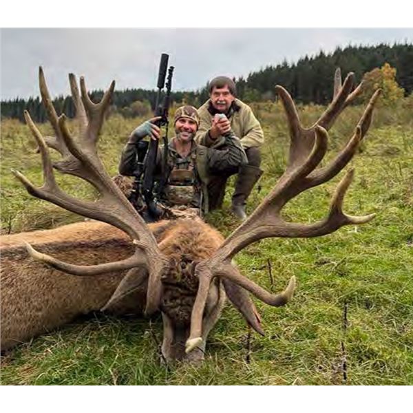 Scotland, 7 Day, 1 hunter, Red Stag (Hill Stag)