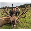 Image 1 : Scotland, 7 Day, 1 hunter, Red Stag (Hill Stag)