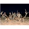 Image 7 : Spain, 4 Day, 1 hunter, Spainsh Red Deer or Fallow Deer Trophy Fee