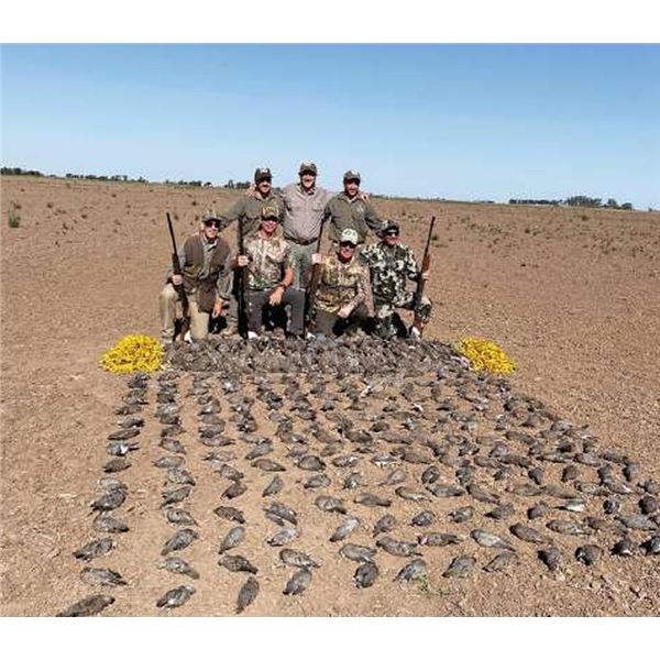 Argentina, 4 Day, 4 hunters, High Volume Dove Shooting