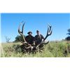 Image 1 : Argentina, 5 Day / 4 Night, 1 hunter, Red Stag