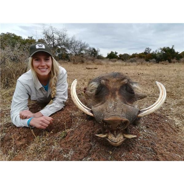 South Africa, 7 days, 2 hunters x 1 PH, and 2 observers. Blue Wildebeest x 1, Impala x 1, Blesbuck x