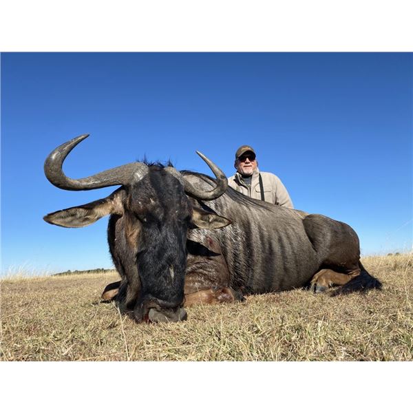 South Africa, 8 days, 4 hunters two-on-one and 4 observers. $1700 trophy fee credit per hunter.