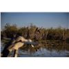 Image 3 : Argentina, 4 Day / 3 Night, Maximum 3 hunters, Dove, Duck, Fishing