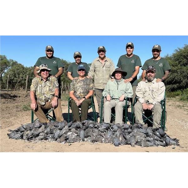 Argentina, 4 Day, 3 hunters, 2 Days Dove Shooting, 2 Days Pigeon Hunting