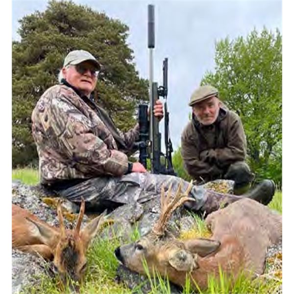 Scotland, 7 Day, 1 hunter, 2 Roebuck