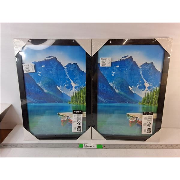 (2) Photo Frames 12" x 18"- Sealed, Pickup Preferred