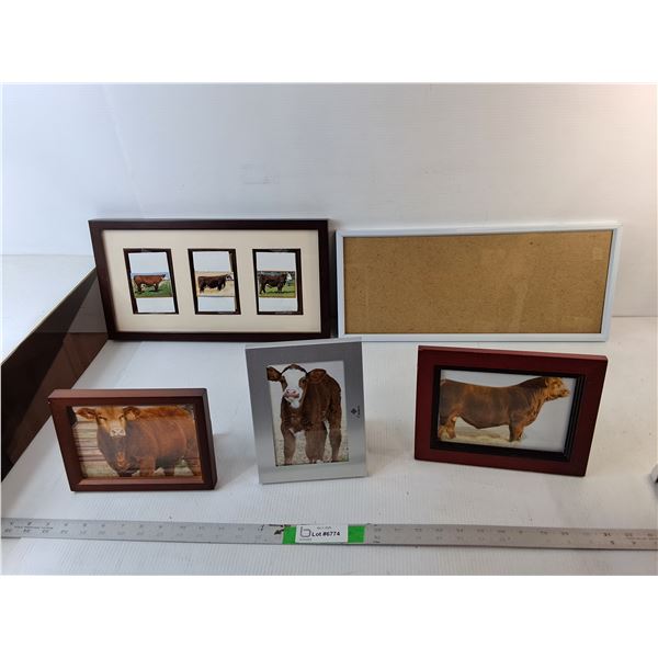(5) Photo Frames Up to 19.25" Long & 9.25" Tall -PICK UP