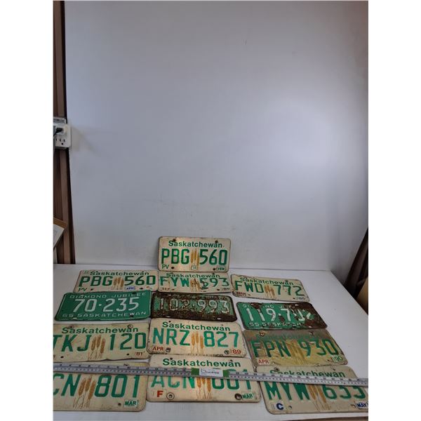 (13) Saskatchewan License Plates