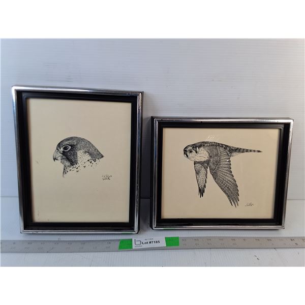 (2) Framed Falcon Drawings 11.5" x 9.5"