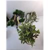 Image 2 : Artificial Plants & Flowers Up to 13" Tall