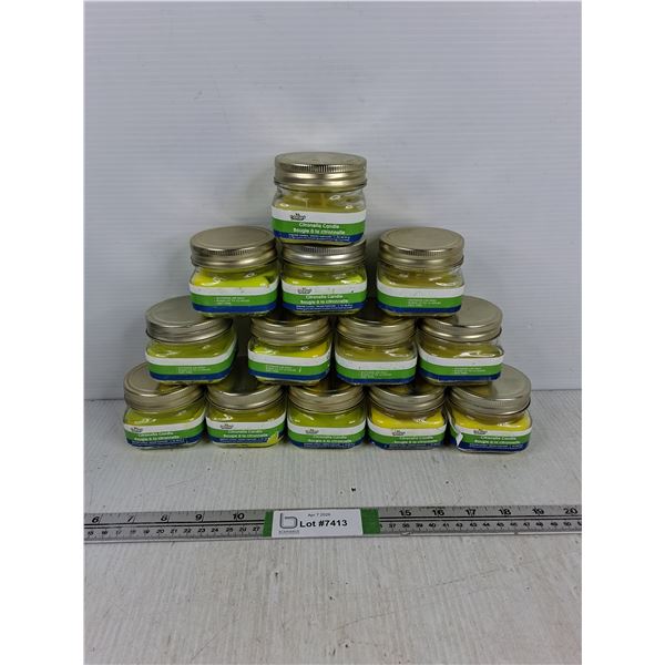 Citronella Outdoor Scented Candle- 3 Oz