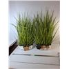 Image 1 : (2) Artificial Grass Plants Up to 34" - PICK UP ONLY