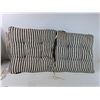 Image 4 : Decorative Pillow & (2) Cushions
