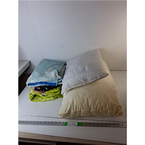 (2) Pillows & (3) Beach Towels, Pickup Preferred
