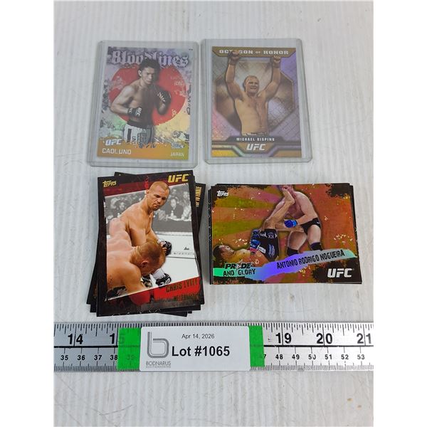 Lot of UFC Cards-cannot authenticate-not all are pictured