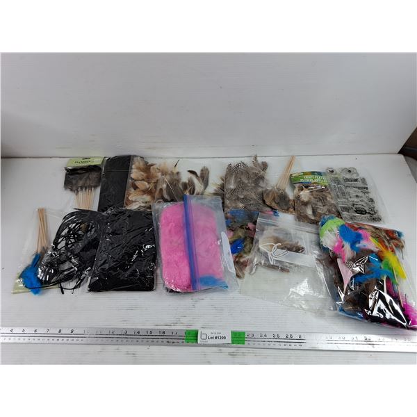 Assorted Craft Feathers & Stickers