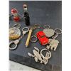 Image 7 : Novelty Assorted Key Chains