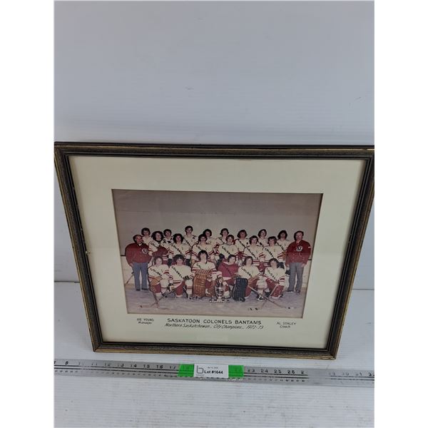 Framed Saskatoon Colonels Bantams 1972-73 Team Photo 19" x 16"