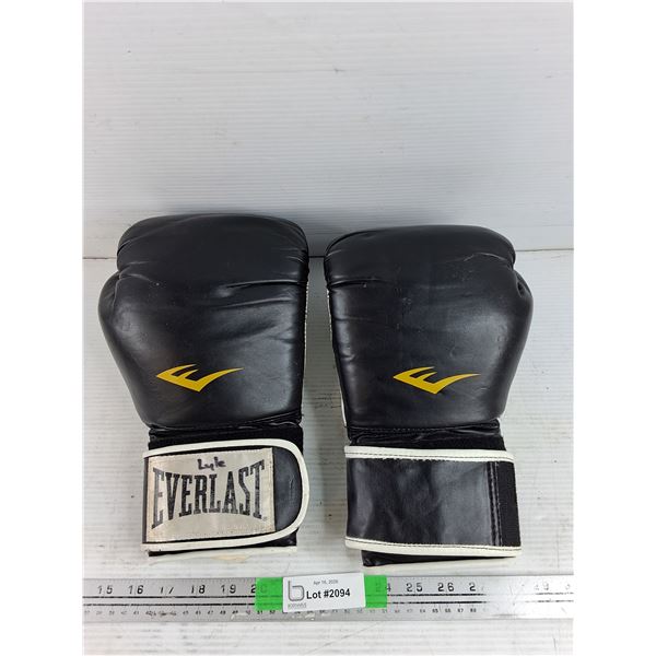 Everlast Boxing Glove Set ( USED)
