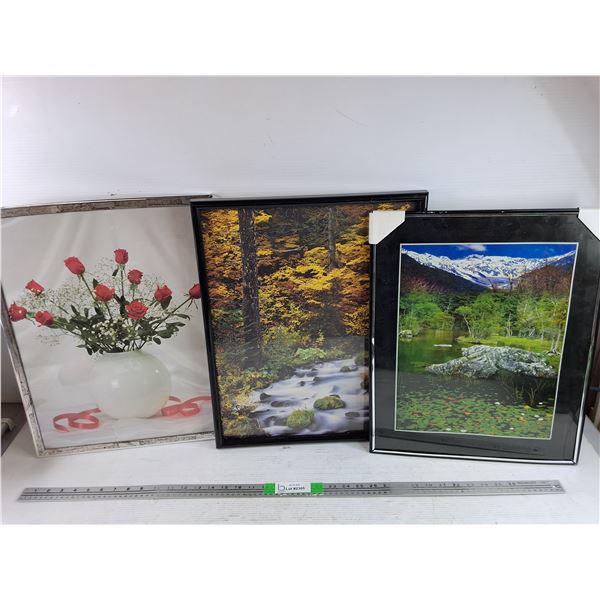 (3) Framed Wall Art Prints 19" x 15", 20" x 16"