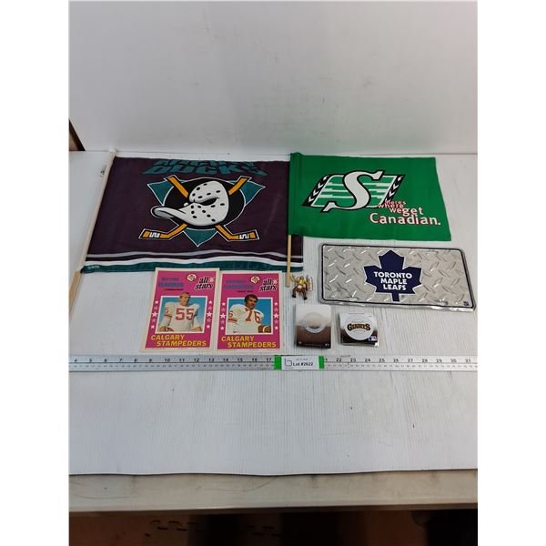 Lot of Assorted Sports Memorabilia-Flags,License Plate,Pictures,Star Stick,Cards